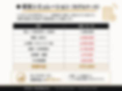 資料プレビュー：収支シミュレーション